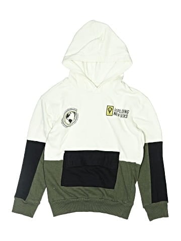 Amsterdam Designs Pullover Hoodie (view 1)