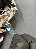 O'Rageous Print Black Casual Pants Size L (estimated) - photo 7