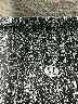 Lululemon Athletica Animal Print Gray Leggings Size 6 - photo 7