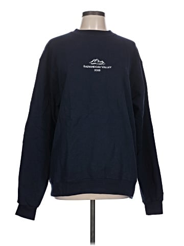 Champion Sweatshirt (view 1)