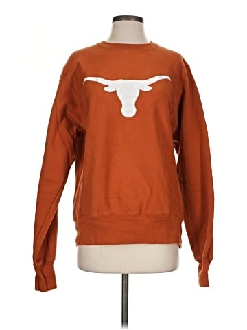 Champion Sweatshirt (view 1)
