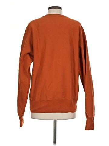 Champion Sweatshirt (view 2)