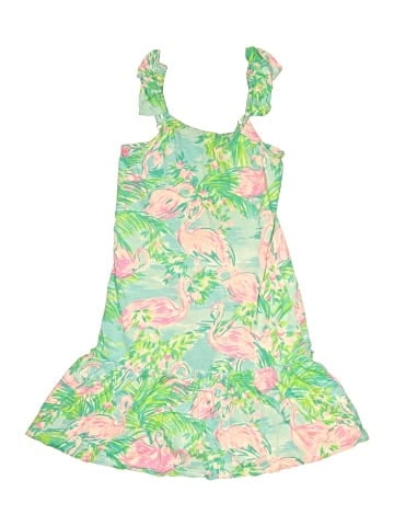 Lilly Pulitzer Dress (view 1)