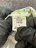 Timing 100% Polyester Green Casual Dress Size L - photo 5