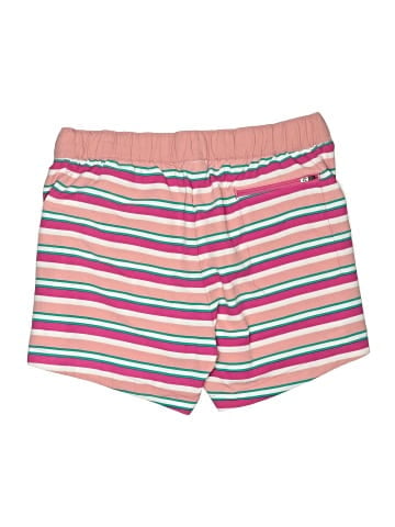 The North Face Shorts (view 2)