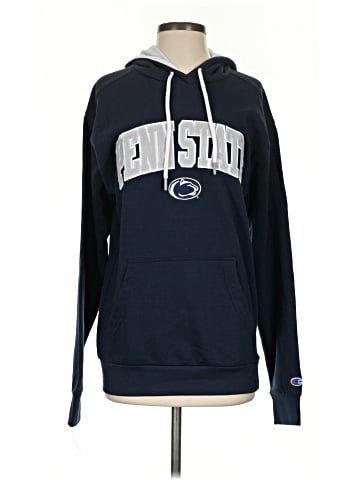 Champion Sweatshirt (view 1)