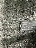 Wolford Solid Black Formal Skirt Size S - photo 5