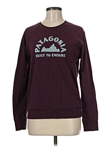 Patagonia Sweatshirt (view 1)