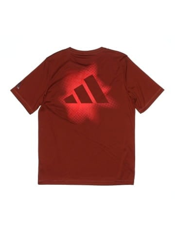 Adidas Active T-Shirt (view 2)