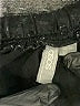 ASOS Paisley Black Shorts Size UK 10 / US 6 - photo 3