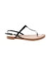 Cole Haan Black Sandals Size 8 1/2 - photo 1