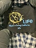 Blue Life Checkered-gingham Blue Shorts Size XS - photo 3