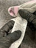 Adidas 100% Cotton Gray Track Pants Size 6 - photo 4