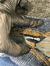 Lands' End Blue Jeans Size 4T - photo 3