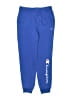 Champion Blue Sweatpants Size 18 - 20 - photo 1