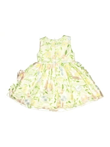 Rare Editions Dress (view 2)