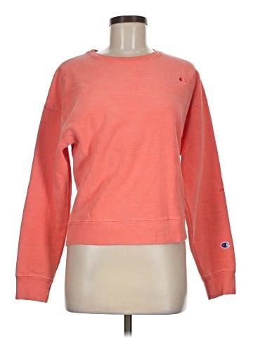 Champion Sweatshirt (view 1)