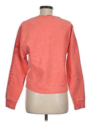Champion Sweatshirt (view 2)