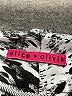 Alice + Olivia Animal Print Silver Shorts Size L (estimated) - photo 3