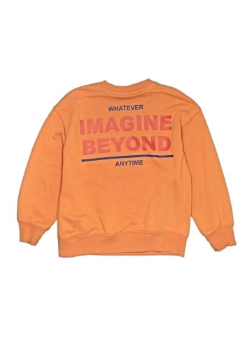 Zara Sweatshirt (view 2)