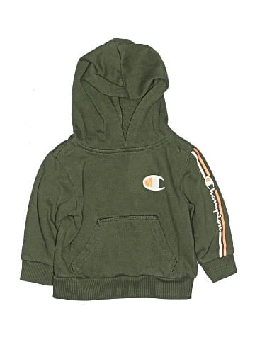 Champion Pullover Hoodie (view 1)