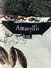 Amaryllis 100% Polyester Ivory Kimono Size XXL - photo 7