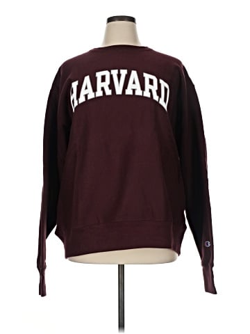 Champion Sweatshirt (view 1)