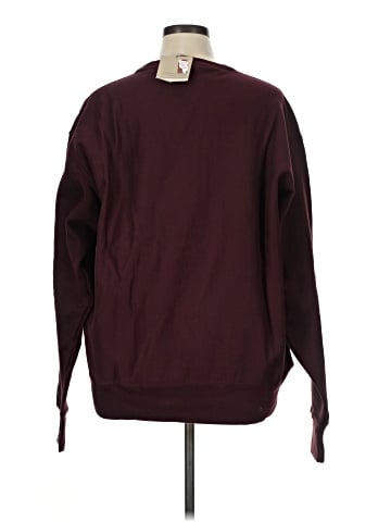 Champion Sweatshirt (view 2)
