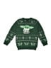 Assorted Brands Green Pullover Sweater Size 5T - photo 1