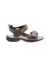 Carter's Brown Sandals Size 9 (kids) - photo 1