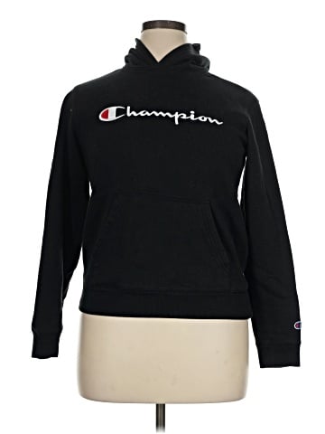 Champion Sweatshirt (view 1)