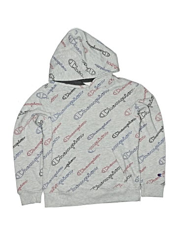 Champion Pullover Hoodie (view 1)