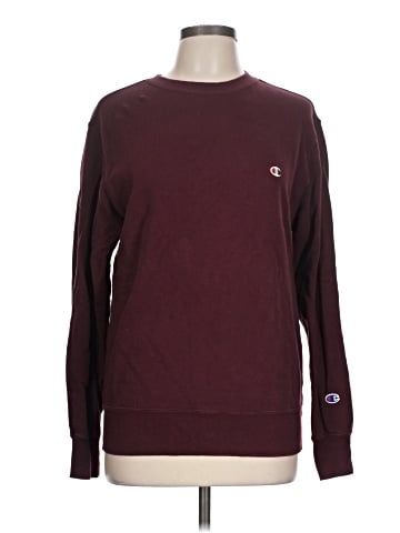 Champion Sweatshirt (view 1)