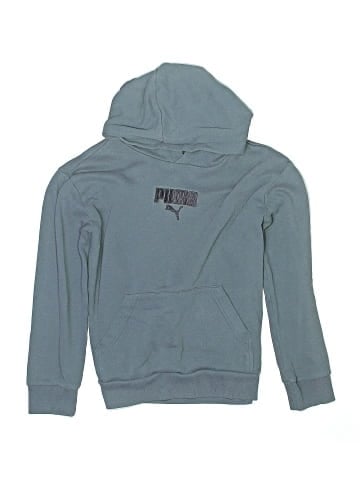 Puma Pullover Hoodie (view 1)