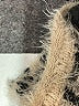XOXO Animal Print Tan Pullover Sweater Size L - photo 8