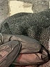 Avenue Gray Cardigan Size M - photo 9