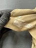 all in motion Solid Tan Casual Pants Size 7 - photo 3