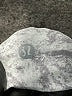 Lululemon Athletica Silver Tank Top Size 8 - photo 7