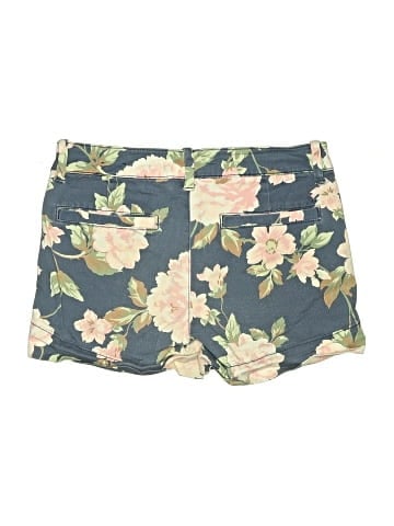 American Eagle Outfitters Shorts (view 2)