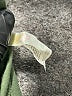 Lularoe Solid Green Active Pants Size 1X (Tall & Curvy) - photo 4