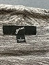 GNW Gray Cardigan Size L - photo 7
