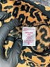 No Boundaries 100% Polyester Animal Print Brown Pullover Sweater Size 3X - photo 7