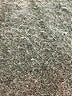 Acne Studios 100% Cotton Solid Black Denim Skirt Size EU 34 / US 4 - photo 13
