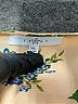 Fever Floral Tan 3/4 Sleeve Blouse Size XL - photo 7
