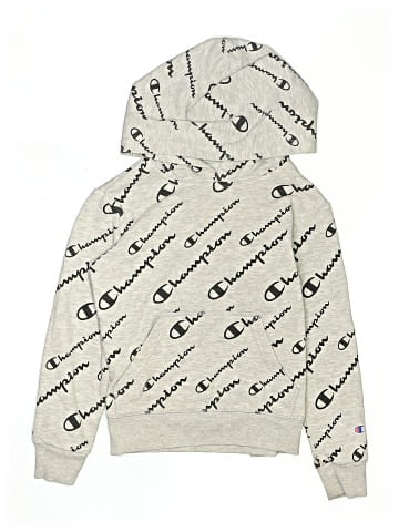 Champion Pullover Hoodie (view 1)