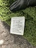 Miracle Green Pullover Sweater Size S - photo 8