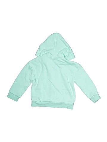 Baby Gap Zip Up Hoodie (view 2)
