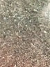 Torrid Blue Jeans Size 20 (tall) - photo 4