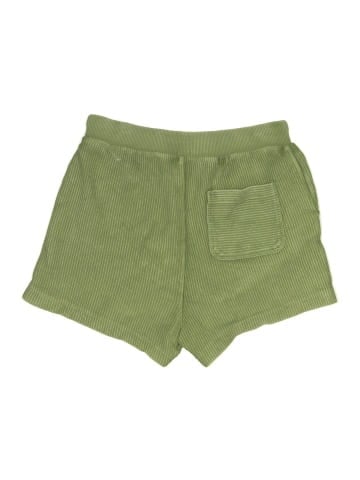 Aerie Shorts (view 2)