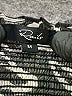 Rails Animal Print Black Casual Dress Size M - photo 7